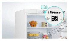 Hisense RB390N4BCC Konyhai termékek - Hűtő, fagyasztó (szabadonálló) - Alulfagyasztós kombinált hűtő - 509392