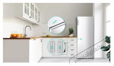 Hisense RB390N4BCC Konyhai termékek - Hűtő, fagyasztó (szabadonálló) - Alulfagyasztós kombinált hűtő - 509392