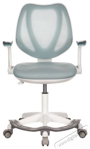 HOMEPRO Cambria, kék hálós Iroda és számítástechnika - Egyéb számítástechnikai termék - 518358