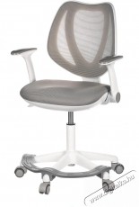 HOMEPRO Cambria, szürke hálós Iroda és számítástechnika - Egyéb számítástechnikai termék - 518356
