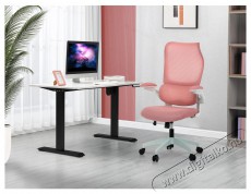 HOMEPRO Clarice, rózsaszín hálós Iroda és számítástechnika - Egyéb számítástechnikai termék - 518367