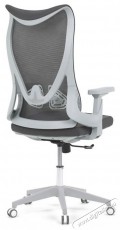 HOMEPRO Gaius, szürke Iroda és számítástechnika - Egyéb számítástechnikai termék - 518361