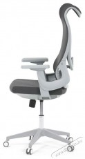 HOMEPRO Gaius, szürke Iroda és számítástechnika - Egyéb számítástechnikai termék - 518361