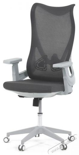 HOMEPRO Gaius, szürke Iroda és számítástechnika - Egyéb számítástechnikai termék - 518361