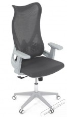 HOMEPRO Gaius, szürke Iroda és számítástechnika - Egyéb számítástechnikai termék - 518361
