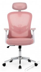 HOMEPRO Koda, r&oacute;zsasz&iacute;n Iroda &eacute;s sz&aacute;m&iacute;t&aacute;stechnika - Egy&eacute;b sz&aacute;m&iacute;t&aacute;stechnikai term&eacute;k - 518336