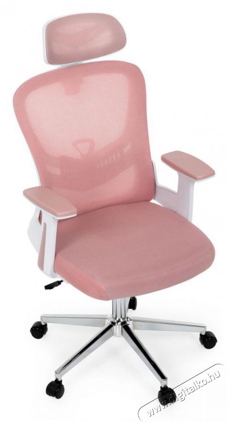 HOMEPRO Koda, r&oacute;zsasz&iacute;n Iroda &eacute;s sz&aacute;m&iacute;t&aacute;stechnika - Egy&eacute;b sz&aacute;m&iacute;t&aacute;stechnikai term&eacute;k - 518336