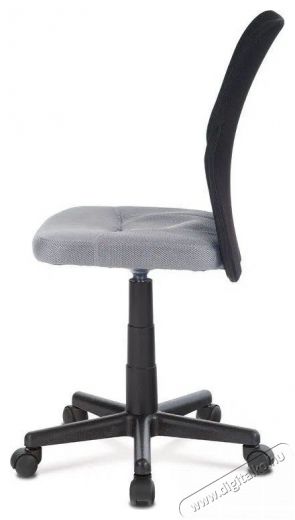 HOMEPRO Lacey - szürke Iroda és számítástechnika - Egyéb számítástechnikai termék - 518345