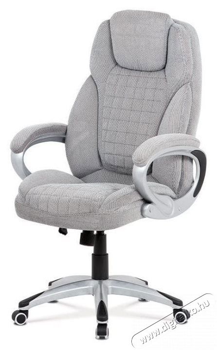 HOMEPRO Niner - ez&uuml;st irodai sz&eacute;k &Uacute;jdons&aacute;gok - &Uacute;j term&eacute;kek - 518339