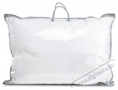 Home Still 2 db Home Still p&aacute;rna k&eacute;szlet, 50x70 cm, 15% pehely &eacute;s 85% kacsapehely, 100% pamutsz&ouml;vet, feh&eacute;r, s&uacute;lya 2,1 kg H&aacute;ztart&aacute;s / Otthon / K&uuml;lt&eacute;r - Egy&eacute;b h&aacute;ztart&aacute;si term&eacute;k - 536870