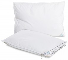 Home Still 2 db Home Still p&aacute;rna k&eacute;szlet, 50x70 cm, 15% pehely &eacute;s 85% kacsapehely, 100% pamutsz&ouml;vet, feh&eacute;r, s&uacute;lya 2,1 kg - H&aacute;ztart&aacute;s / Otthon / K&uuml;lt&eacute;r - Egy&eacute;b h&aacute;ztart&aacute;si term&eacute;k - 536870