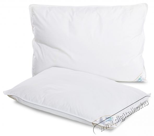 Home Still 2 db Home Still p&aacute;rna k&eacute;szlet, 50x70 cm, 15% pehely &eacute;s 85% kacsapehely, 100% pamutsz&ouml;vet, feh&eacute;r, s&uacute;lya 2,1 kg H&aacute;ztart&aacute;s / Otthon / K&uuml;lt&eacute;r - Egy&eacute;b h&aacute;ztart&aacute;si term&eacute;k - 536870