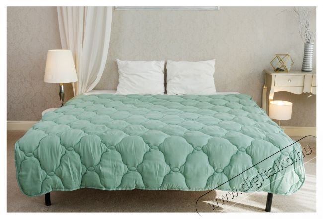 Home Still Soft Touch Home Still steppelt paplan, 140x200 cm, 300 g/nm, mikrosz&aacute;las, szilikon vatta t&ouml;ltel&eacute;k, magas hőfok, vil&aacute;gosz&ouml;ld H&aacute;ztart&aacute;s / Otthon / K&uuml;lt&eacute;r - Egy&eacute;b h&aacute;ztart&aacute;si term&eacute;k - 536866