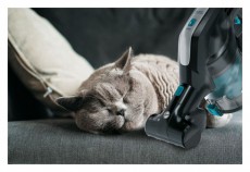 Hoover HF222BPE vezeték nélküli kézi porszívó Háztartás / Otthon / Kültér - Porszívó / takarítógép - Kézi / álló porszívó - 370180