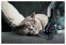 Hoover HF222BPE vezeték nélküli kézi porszívó Háztartás / Otthon / Kültér - Porszívó / takarítógép - Kézi / álló porszívó - 370180