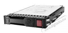 HP E MSA 2060 16Gb Fibre Channel SFF Storage Iroda &eacute;s sz&aacute;m&iacute;t&aacute;stechnika - Egy&eacute;b sz&aacute;m&iacute;t&aacute;stechnikai term&eacute;k - 431073