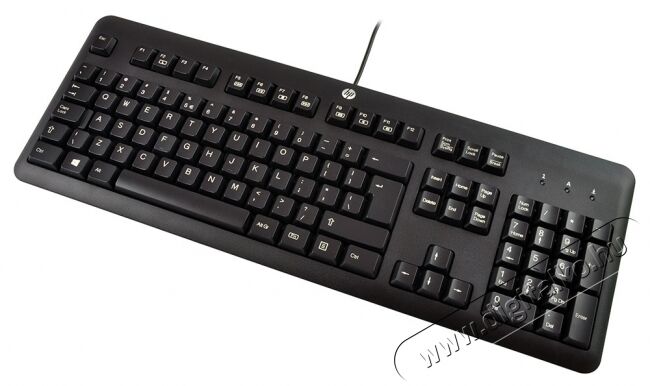 HP QY776AA USB billentyűzet HU Iroda és számítástechnika - Billentyűzet / billentyűzet szett - Vezetékes - 317919