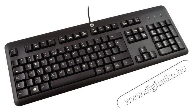 HP QY776AA USB billentyűzet HU Iroda és számítástechnika - Billentyűzet / billentyűzet szett - Vezetékes - 317919