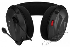 HyperX Cloud Stinger 2 Core (PC) Audio-Video / Hifi / Multimédia - Fül és Fejhallgatók - Fejhallgató - 509965