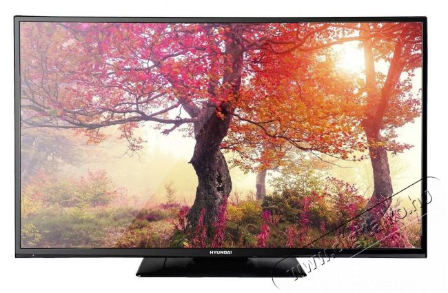 Hyundai FLR43TS511SMART Full HD Smart LED televízió Televíziók - LED televízió - 1080p Full HD felbontású - 336250