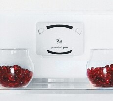 Indesit TAA51 felülfagyasztós hűtőszekrény Konyhai termékek - Hűtő, fagyasztó (szabadonálló) - Felülfagyasztós kombinált hűtő - 365859