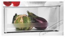 Indesit LI6 S2E X Hűtőszekrény Konyhai termékek - Hűtő, fagyasztó (szabadonálló) - Alulfagyasztós kombinált hűtő - 505471