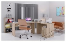 Irim Especial &Iacute;r&oacute;asztal szekr&eacute;ny, Mozgathat&oacute;, 40x50x55 cm, 2 fi&oacute;kos, Sonoma sz&iacute;n Iroda &eacute;s sz&aacute;m&iacute;t&aacute;stechnika - Egy&eacute;b sz&aacute;m&iacute;t&aacute;stechnikai term&eacute;k - 536919