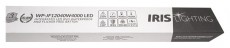 Iris Lighting JF120 integrált LED-es por-és páramentes lámpatest IP65 vibrálás menetes 40W 4000 lm 4000K Háztartás / Otthon / Kültér - Világítás / elektromosság - Fali / mennyezeti lámpa - 386687