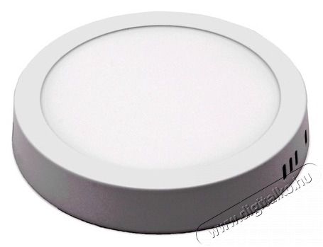 Iris Lighting PLSUR-12W 12W/820lm/4000K mennyezeti kör alakú LED panel Háztartás / Otthon / Kültér - Világítás / elektromosság - Fali / mennyezeti lámpa - 388195