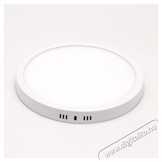 Iris Lighting PLSUR-24W 24W/1920lm/4000K mennyezeti kör alakú LED panel Háztartás / Otthon / Kültér - Világítás / elektromosság - Fali / mennyezeti lámpa - 388187