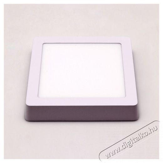 Iris Lighting PLSUS-12W 12W/820lm/4000K mennyezeti négyzet alakú LED panel Háztartás / Otthon / Kültér - Világítás / elektromosság - Fali / mennyezeti lámpa - 388188