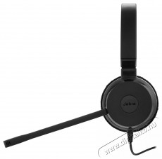 Jabra Evolve 20 MS Stereo USB-A Audio-Video / Hifi / Multimédia - Fül és Fejhallgatók - Fejhallgató mikrofonnal / headset - 503353