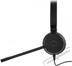 Jabra Evolve 20 MS Stereo USB-A SE Audio-Video / Hifi / Multim&eacute;dia - F&uuml;l &eacute;s Fejhallgat&oacute;k - Fejhallgat&oacute; mikrofonnal / headset - 509983