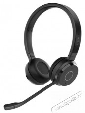 Jabra Evolve 65 TE, Link390a MS Stereo Audio-Video / Hifi / Multimédia - Fül és Fejhallgatók - Fejhallgató - 518816