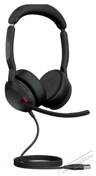 Jabra Evolve2 50 USB-A MS Stereo Audio-Video / Hifi / Multim&eacute;dia - F&uuml;l &eacute;s Fejhallgat&oacute;k - Fejhallgat&oacute; - 518809