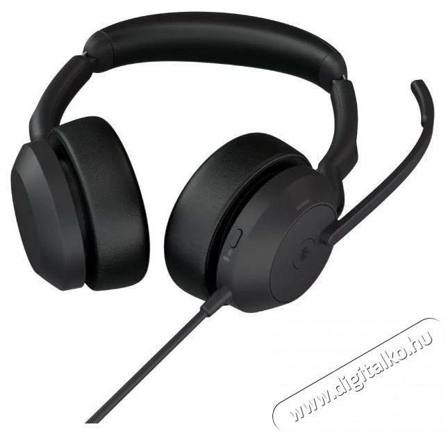 Jabra Evolve2 50 USB-A MS Stereo Audio-Video / Hifi / Multim&eacute;dia - F&uuml;l &eacute;s Fejhallgat&oacute;k - Fejhallgat&oacute; - 518809