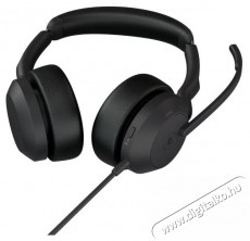Jabra Evolve2 50 USB-A MS Stereo Audio-Video / Hifi / Multimédia - Fül és Fejhallgatók - Fejhallgató - 518809