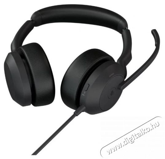 Jabra Evolve2 50 USB-A MS Stereo Audio-Video / Hifi / Multim&eacute;dia - F&uuml;l &eacute;s Fejhallgat&oacute;k - Fejhallgat&oacute; - 518809