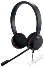 Jabra Evolve 20 SE, Stereo MS, USB C/A, Leather Fejhallgat&oacute; Audio-Video / Hifi / Multim&eacute;dia - F&uuml;l &eacute;s Fejhallgat&oacute;k - Fejhallgat&oacute; mikrofonnal / headset - 529592