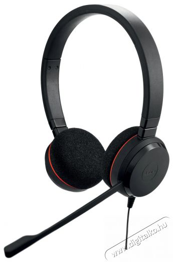 Jabra Evolve 20 SE, Stereo MS, USB C/A, Leather Fejhallgat&oacute; Audio-Video / Hifi / Multim&eacute;dia - F&uuml;l &eacute;s Fejhallgat&oacute;k - Fejhallgat&oacute; mikrofonnal / headset - 529592