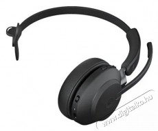 Jabra Evolve2 65 MS Mono USB-A Stand Black Fejhallgat&oacute; Audio-Video / Hifi / Multim&eacute;dia - F&uuml;l &eacute;s Fejhallgat&oacute;k - Fejhallgat&oacute; mikrofonnal / headset - 529615