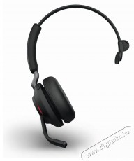 Jabra Evolve2 65 MS Mono USB-A Stand Black Fejhallgat&oacute; Audio-Video / Hifi / Multim&eacute;dia - F&uuml;l &eacute;s Fejhallgat&oacute;k - Fejhallgat&oacute; mikrofonnal / headset - 529615