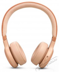 JBL Live 670NC - b&eacute;zs Audio-Video / Hifi / Multim&eacute;dia - F&uuml;l &eacute;s Fejhallgat&oacute;k - Fejhallgat&oacute; - 510065