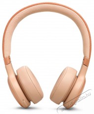 JBL Live 670NC - b&eacute;zs Audio-Video / Hifi / Multim&eacute;dia - F&uuml;l &eacute;s Fejhallgat&oacute;k - Fejhallgat&oacute; - 510065