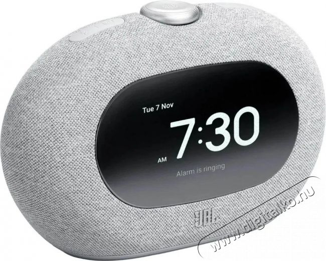 JBL Horizon3 Grey Audio-Video / Hifi / Multimédia - Rádió / órás rádió - Ébresztőórás rádió - 525054