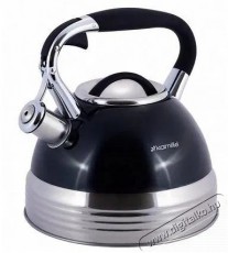 Kamille 0696 BL, rozsdamentes ac&eacute;l, 2,7 l f&uuml;ty&uuml;l - Konyhai term&eacute;kek - V&iacute;zforral&oacute; / teafőző - 528704