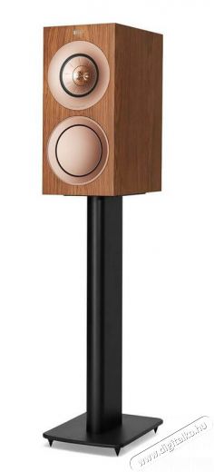 KEF R 3 Dió Újdonságok - Új termékek - 347297