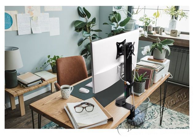 Kensington K55512WW SmartFit helytakar&eacute;kos monitorkar Tv kieg&eacute;sz&iacute;tők - Fali tart&oacute; / konzol - Asztali tart&oacute; - 500179