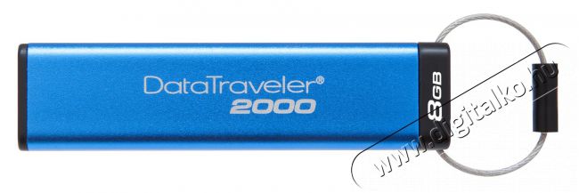 Kingston USB3.1 64GB  (DT2000/64GB) pendrive Egyéb - Nem forgalmazzuk ! - 332606