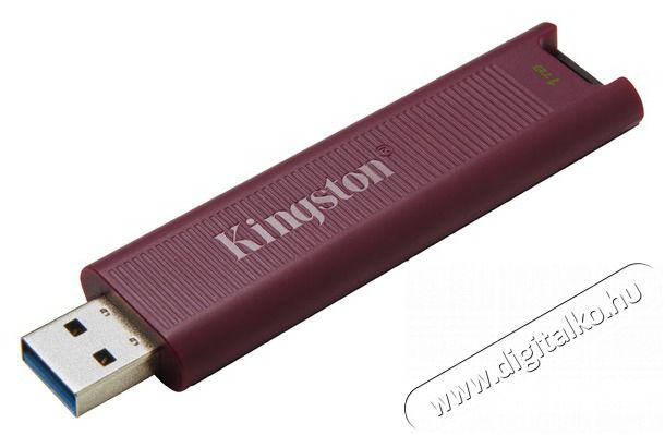 Kingston 1TB USB3.2 Type-A DataTraveler Max (DTMAXA/1TB) Flash Drive Memória kártya / Pendrive - Pendrive - 456360